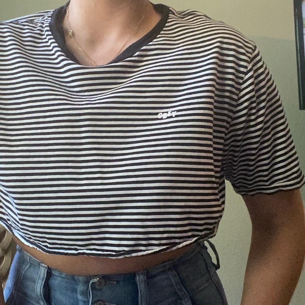 cropped obey striped tee shirt